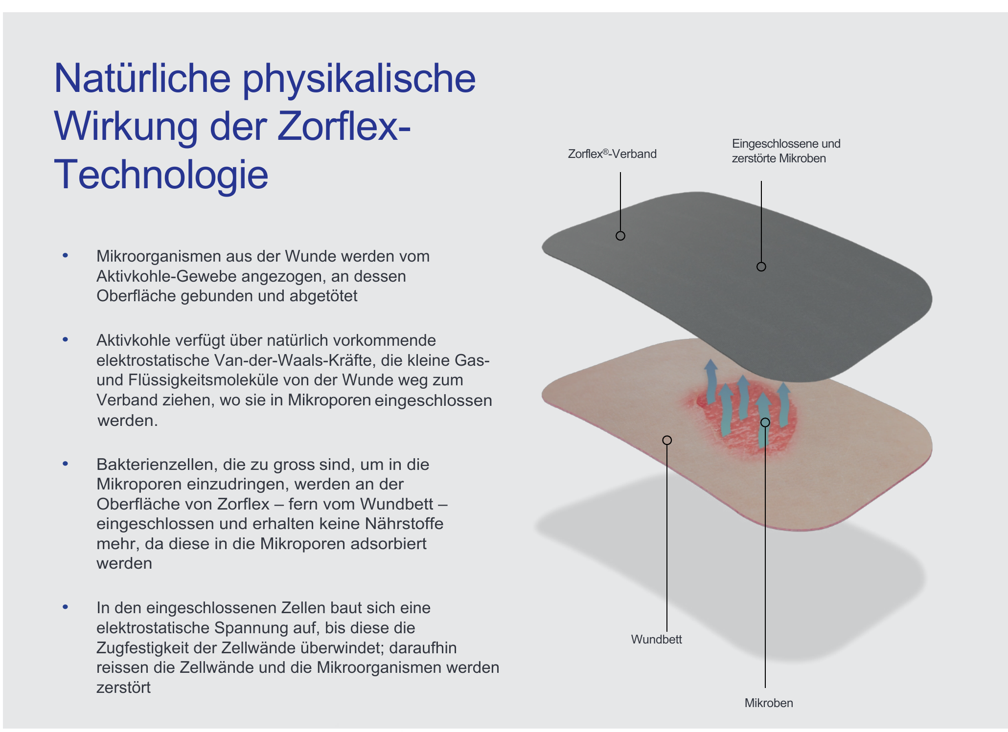 zorflex_4